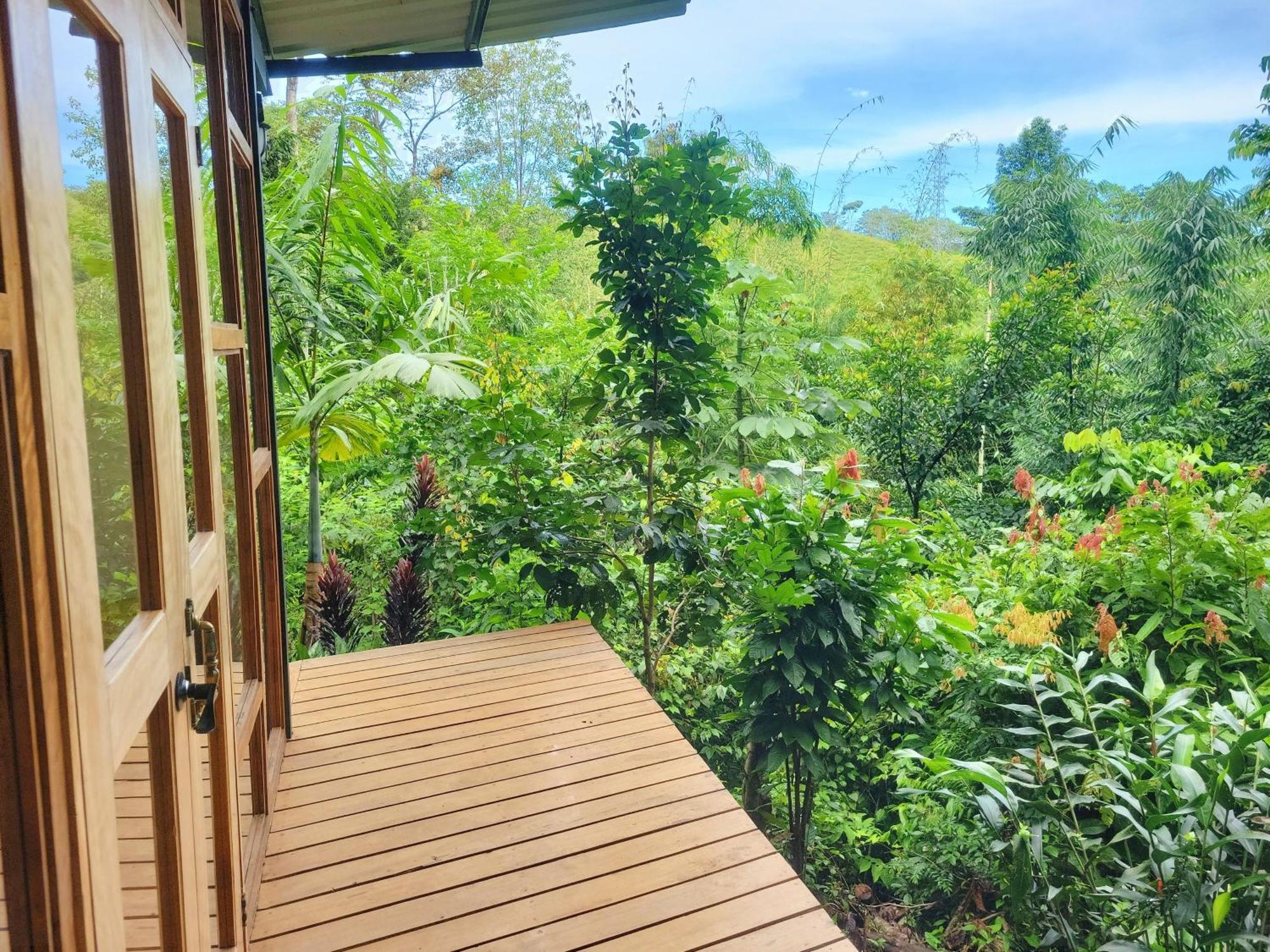 Cascada Elysiana Villa Platanillo Room photo